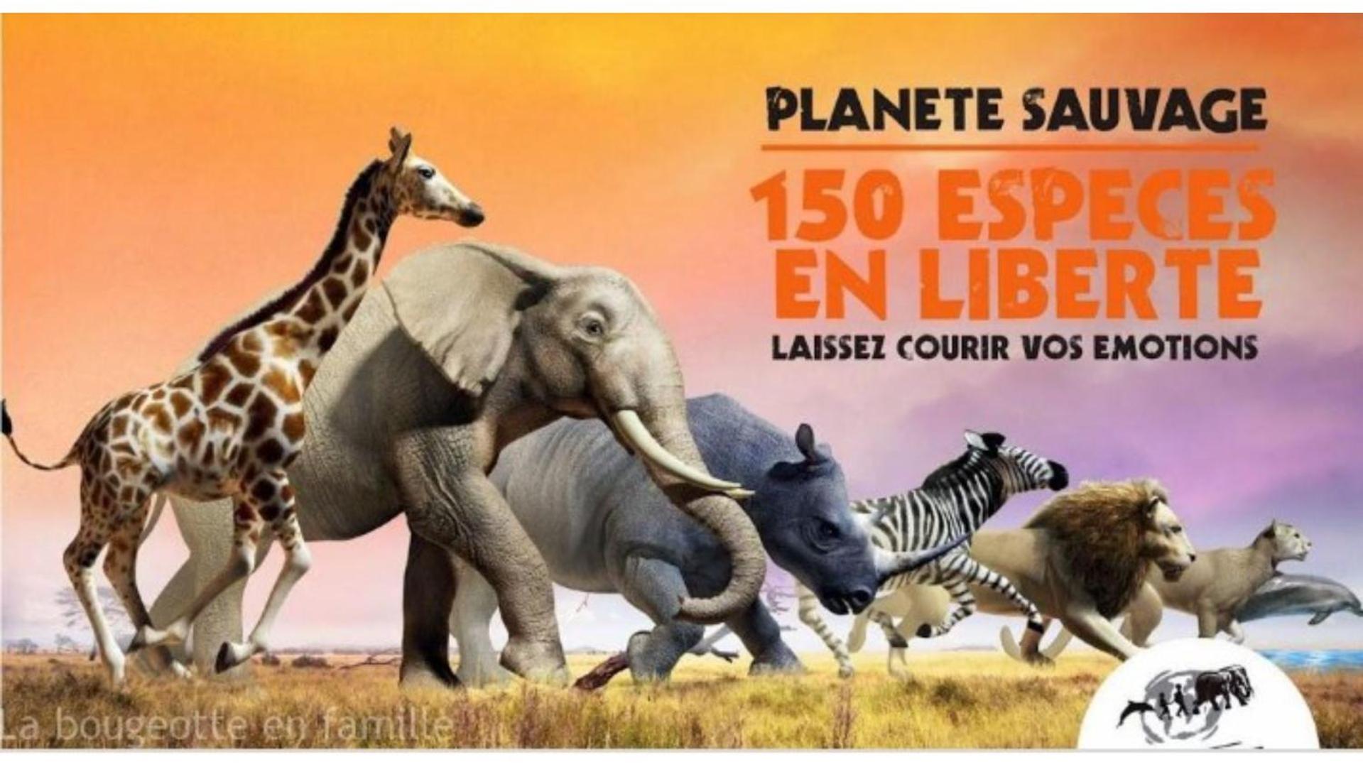 "La Voute De Pierre" Gite Independant Saint-Cyr  Ngoại thất bức ảnh